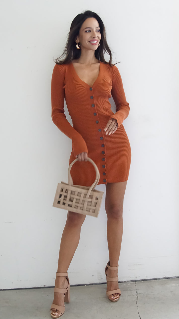 Iolanthe Mini Longsleeve Button Down Dress in Orange - Steps New York