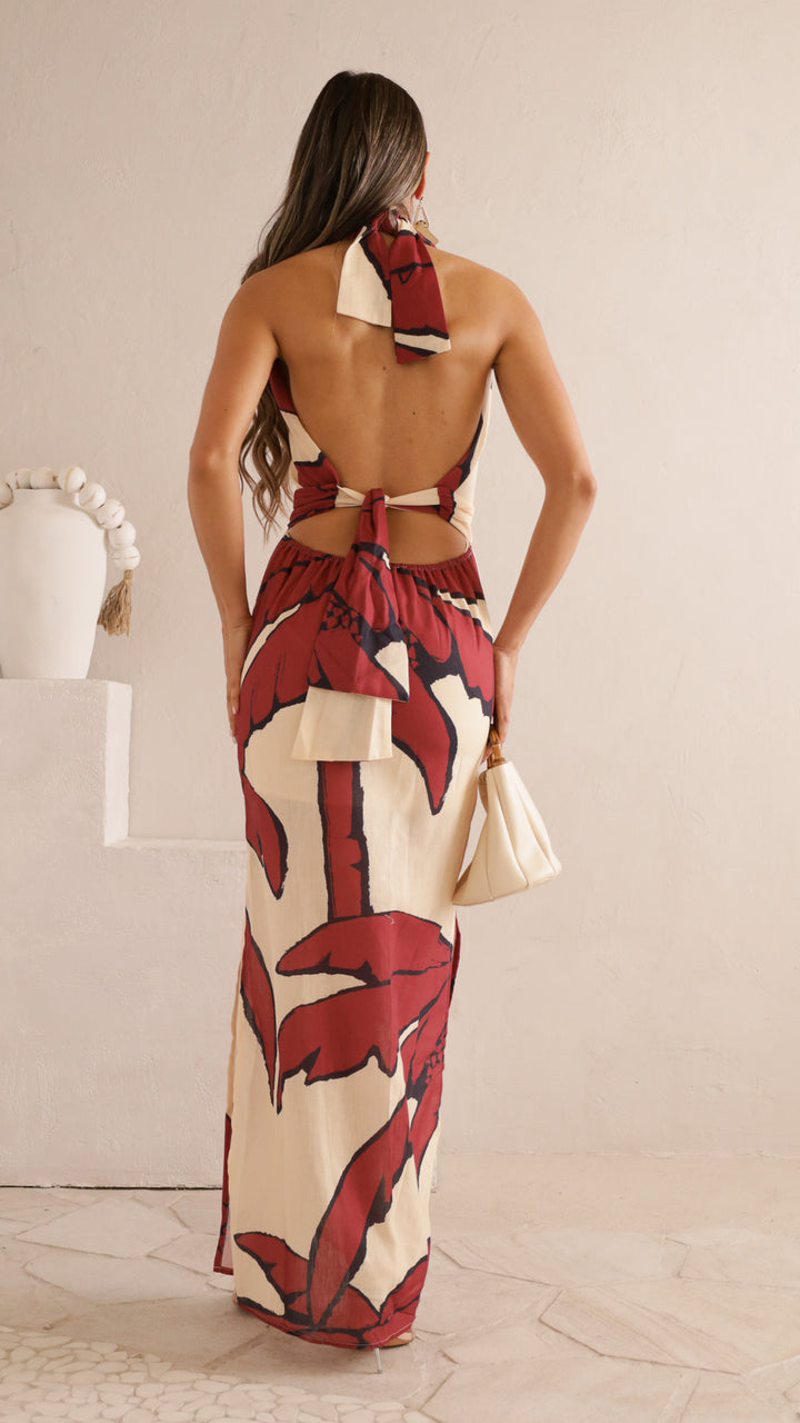 rear view image 1 of Risa Maxi Dress
