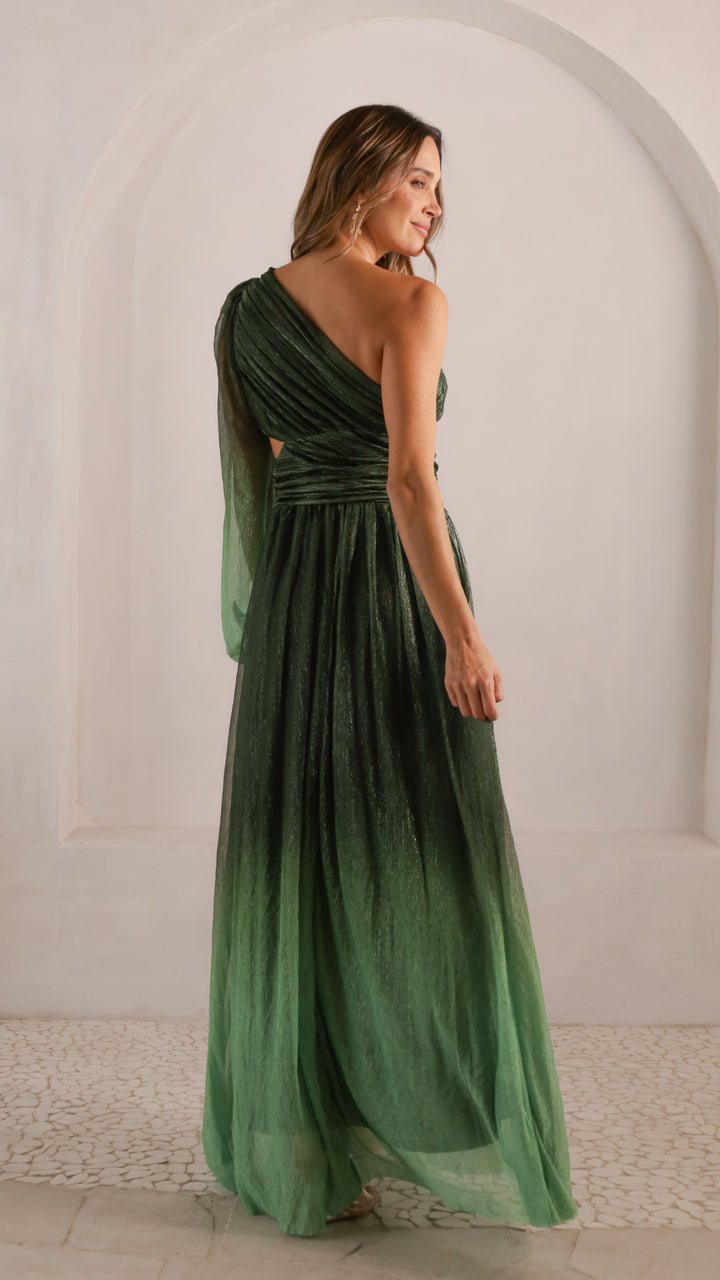 rear view image 1 of Seluana Maxi Dress