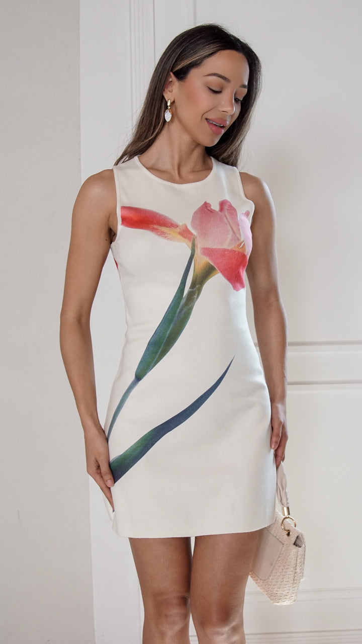 front view image 4 of Camellia Mini Dress