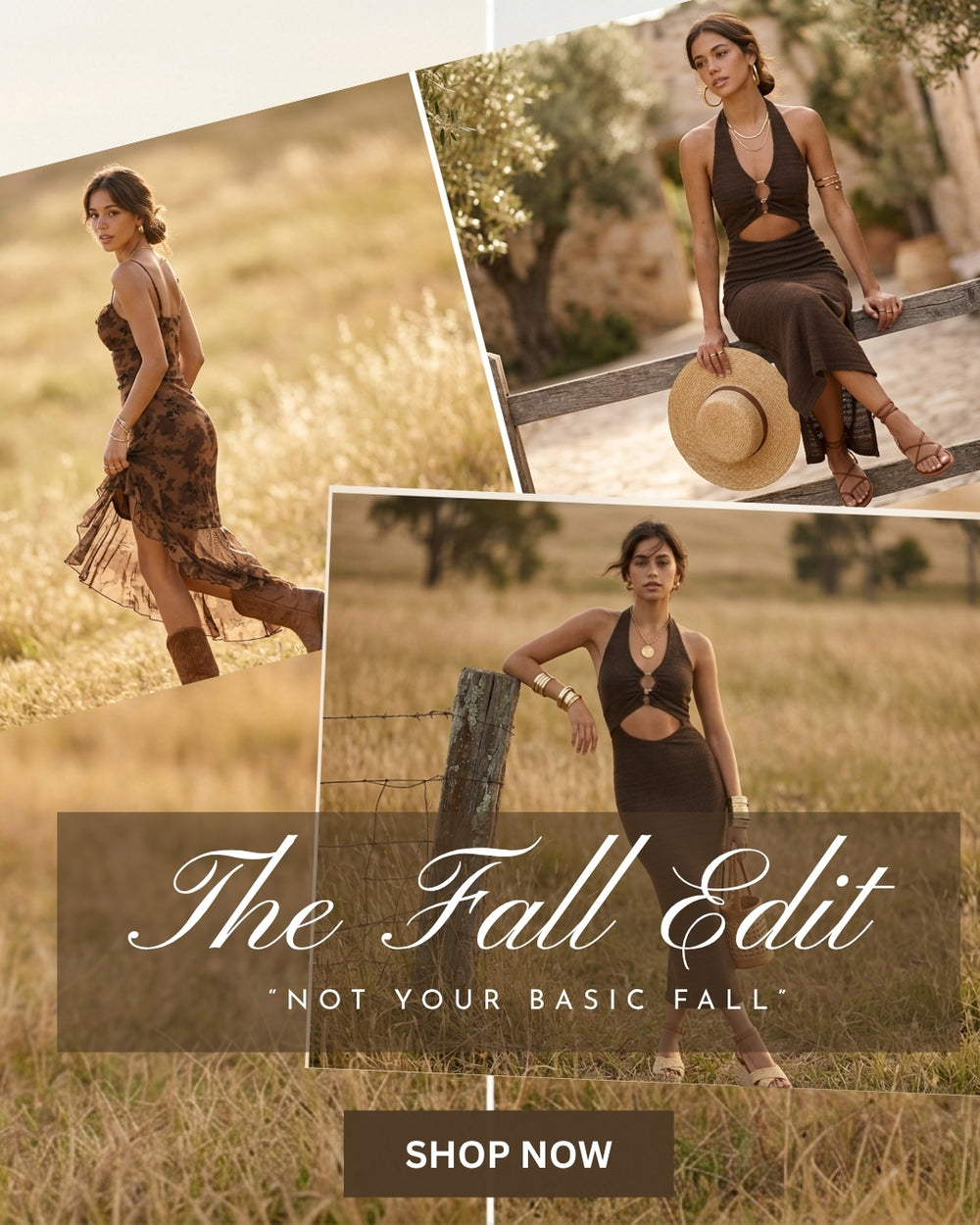 the fall edit collection 